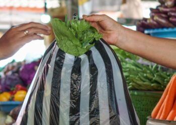 Índice Primario de Sentimiento del Consumidor – IPSC