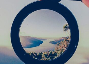 WhyDive by Ipsos CIESMORI