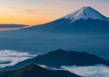 Ipsos Update – diciembre 2023