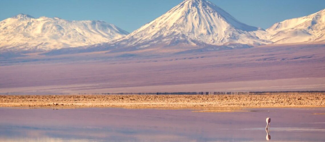 Ipsos Update – enero 2024