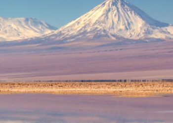 Ipsos Update – enero 2024