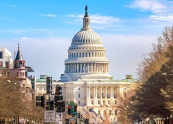 Ipsos Update – febrero 2024