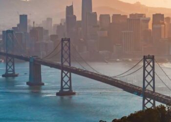 Ipsos UPDATE – Agosto 2024