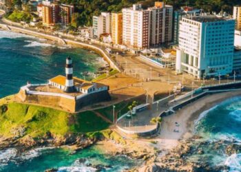 Ipsos Update – Diciembre 2024