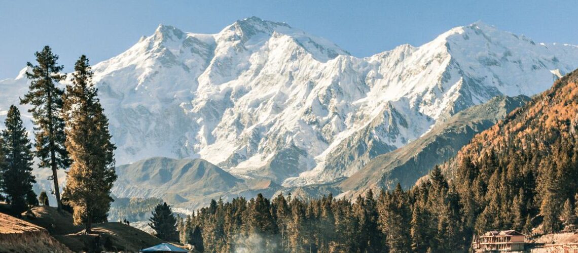 Ipsos Update – Enero 2025