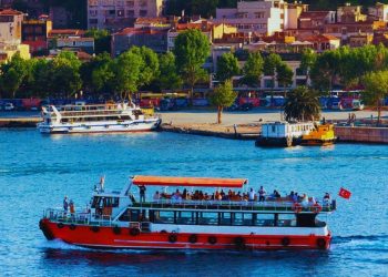 Ipsos Update | Mayo 2025