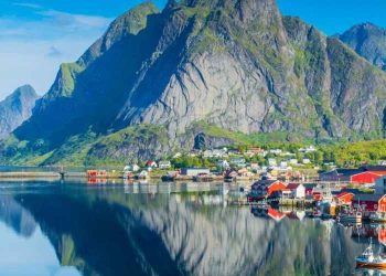 Ipsos Update | Junio 2025