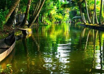 Ipsos Update | Agosto 2025