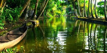 Ipsos Update | Agosto 2025