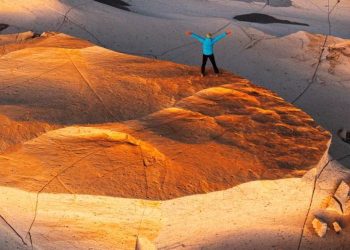 Ipsos Update | enero 2026