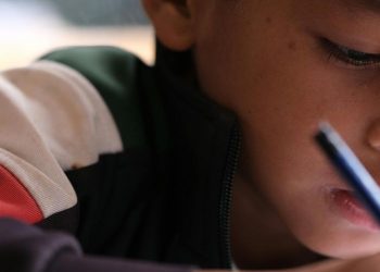 La Ley Avelino Siñani bajo la lupa