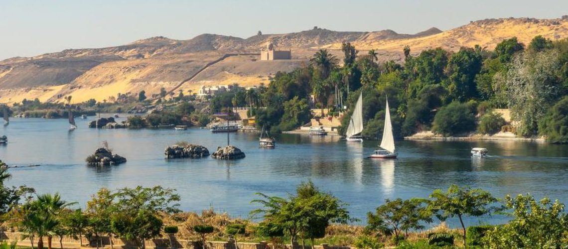 Ipsos Update | febrero 2026