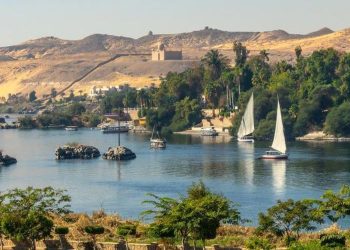 Ipsos Update | febrero 2026