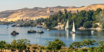 Ipsos Update | febrero 2026